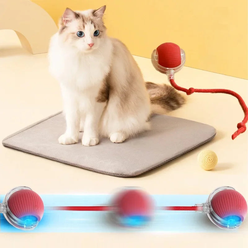 Interactive Cat Toys Ball Auto Electric Rolling Ball Toys for Cats/Kitty Pets Smart Automatic Teaser USB Rechargeable